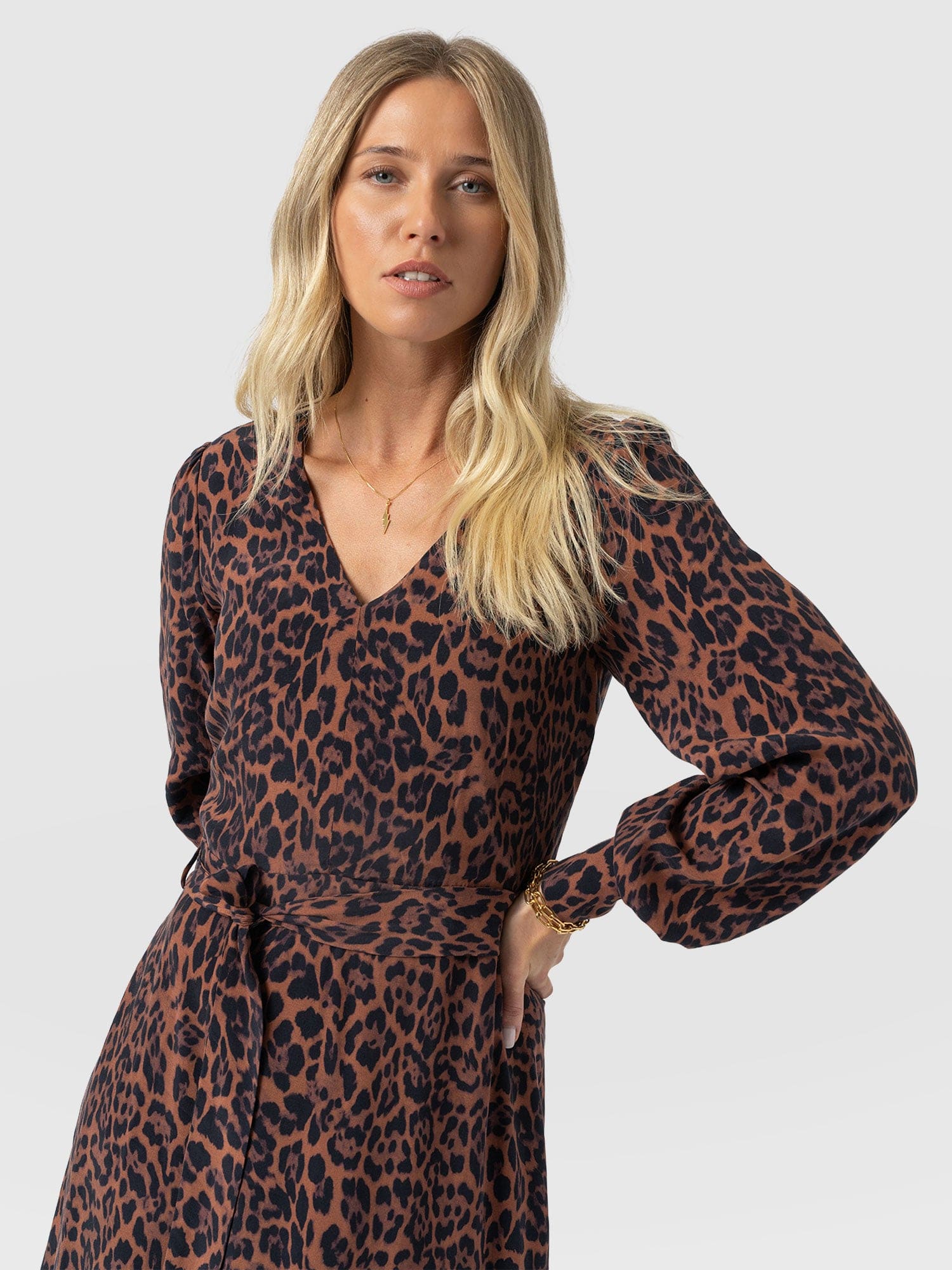 Allegra V Neck Dress - Brown Leopard - Image 3